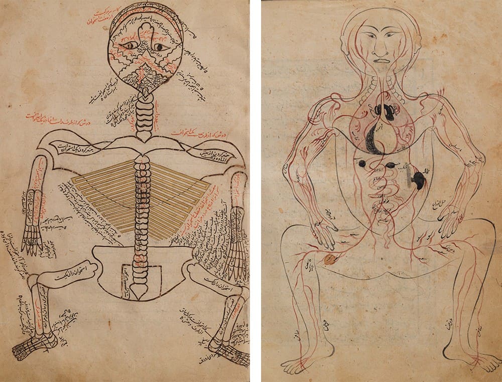 Antik anatomi çizimleri