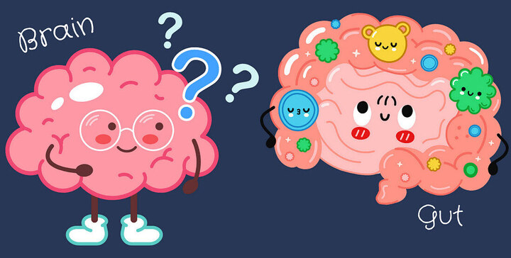 Bağırsak: İkinci Beyin